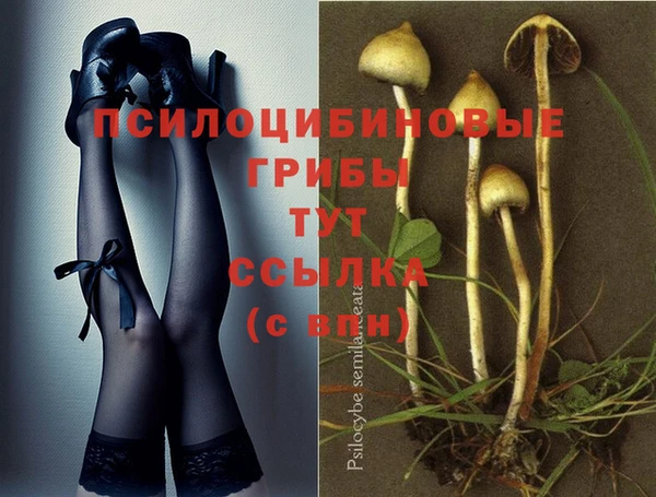jwh Нефтекумск
